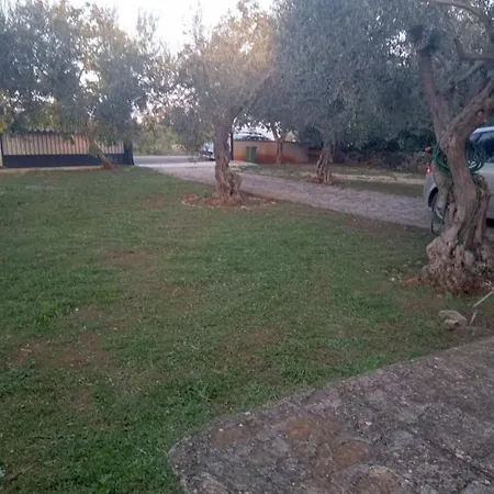 Krcina