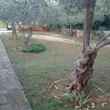 Krcina Apartament